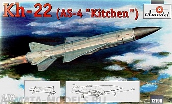 AM72196 X-22