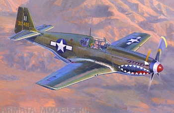 C-46  Самолет P-51 B-1 BullFrog I